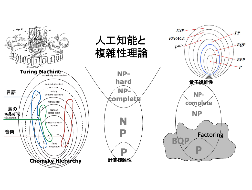 「計算科学と複雑性」関連ページ MaruLabo