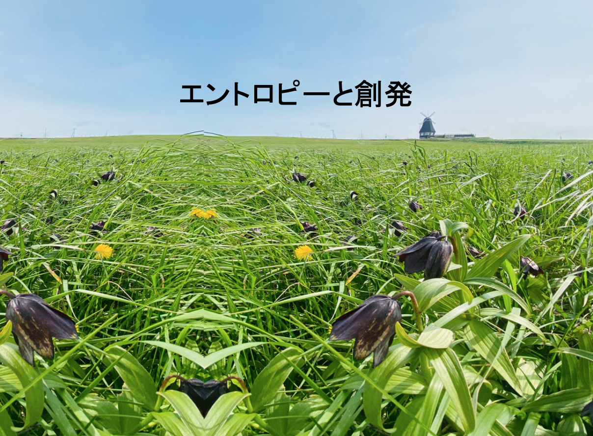 創発について考える | MaruLabo